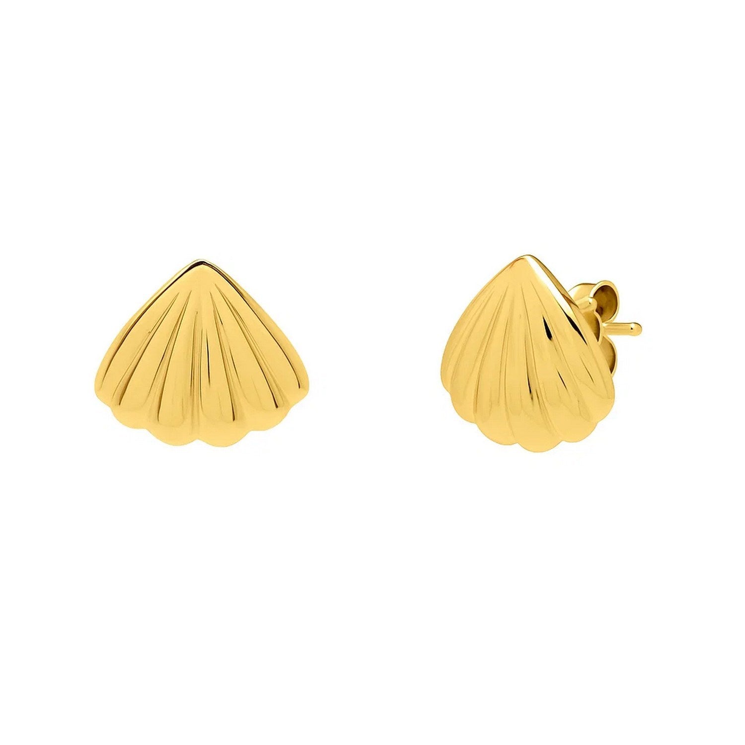 Sea Shell Stud Earrings in 10K Yellow Gold in a sleek high-contrast midnight luxury editorial style