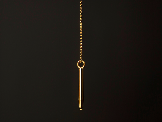 The Plumb Line: Gravity and the Vertical Axis
