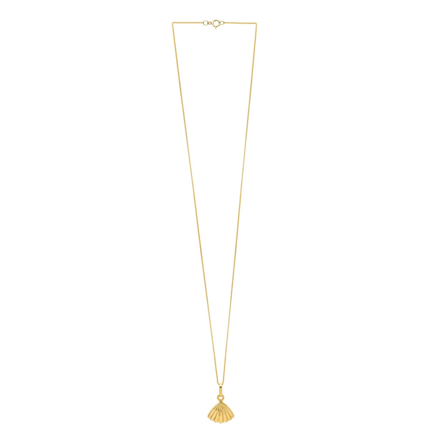 Sea Shell Necklace in 10K Yellow Gold