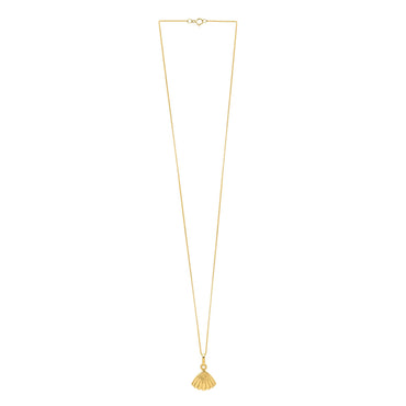Sea Shell Necklace in 10K Yellow Gold