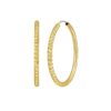 14K Yellow Gold Faceted Round Hoop Earrings