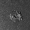 D108667_6.jpg