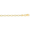 14K Yellow Gold Rolo Oval Chain