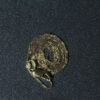 D128264_6.jpg