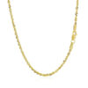 10K Yellow Gold Hollow Diamond-Cut Rope Chain, 2 mm