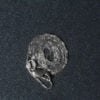 D187829_6.jpg