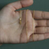18K Yellow Gold Cable Round Chain 1.50mm