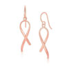 14K Rose Gold Polished Drop Earrings