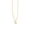 14K Yellow Gold Polished Moon Lab-Grown Diamond Necklace