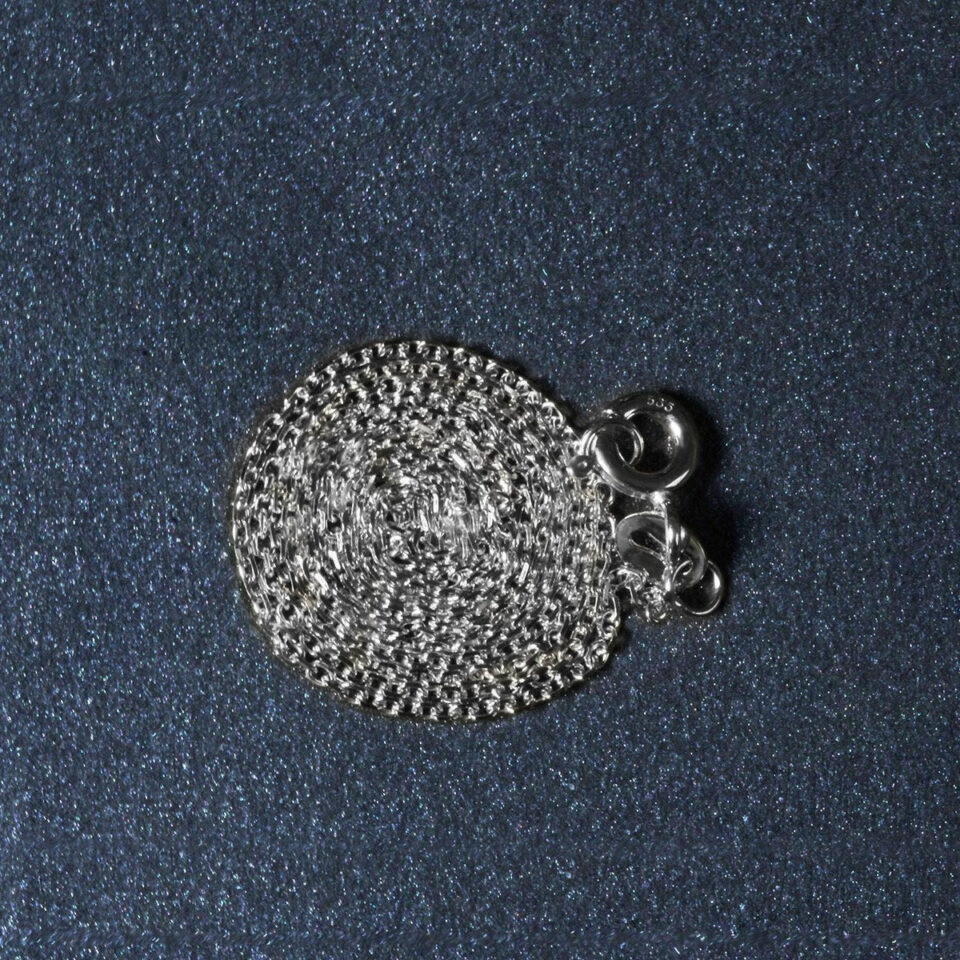 D79034646_6.jpg