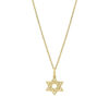 14K Yellow Gold Star of David Necklace
