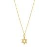 14K Yellow Gold Star of David Necklace